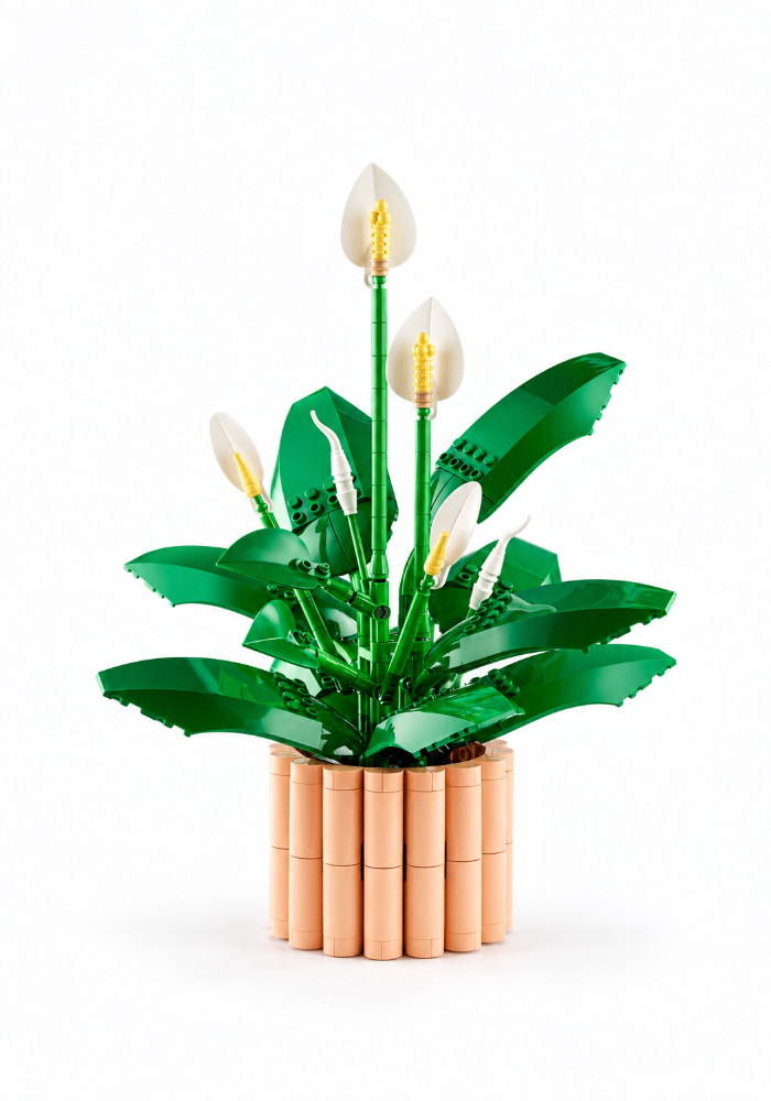 Peace Lily